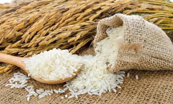 ترشی سیر مرواریدصادراتی   وزن ۷۰۰ گرمی 170,000 تومان
