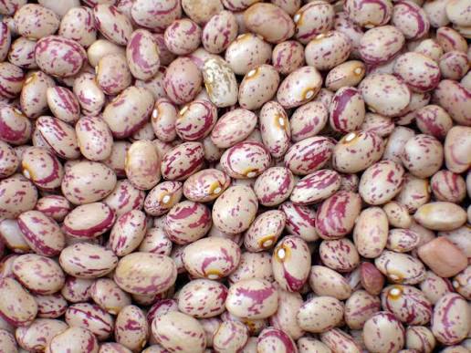 لوبیا چیتی کیلویی ۳۵۰ هزار تومان