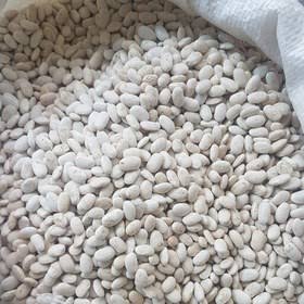 لوبیاسفید صادراتی 240 هزارتومان