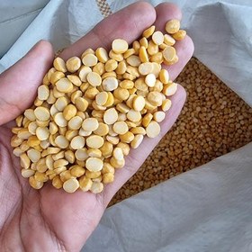 لپه ریز ودرشت اعلا درجه یک  250 هزارتومان